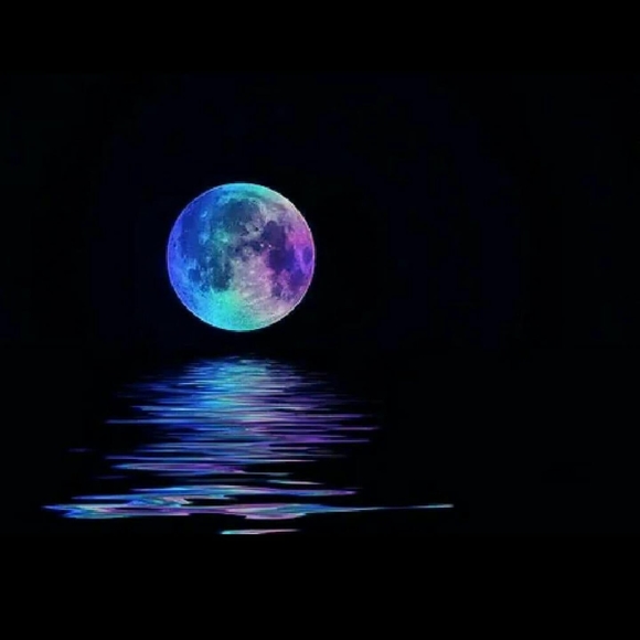 Meet your Posher, Dan - Picture 1 of 1